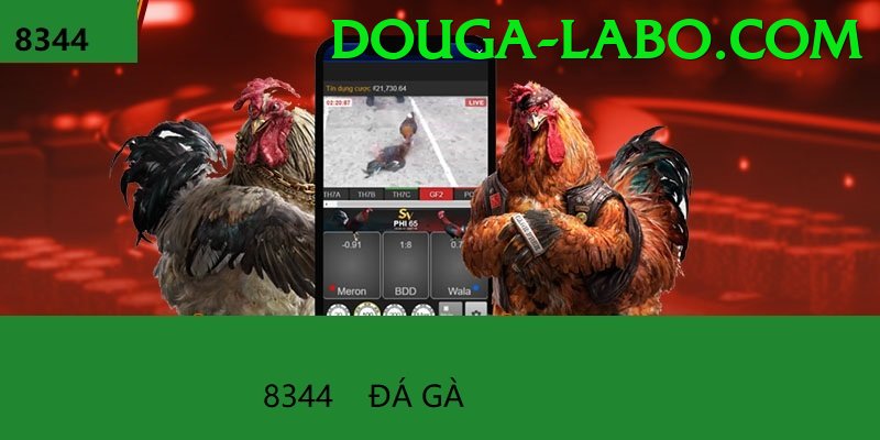 Đá Gà Trực Tiếp - Ưu đãi đặc biệt